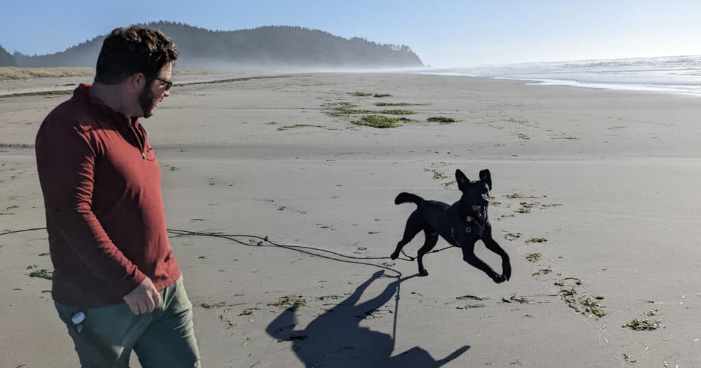 dog dog jumping and running on beach with man near by holding leash