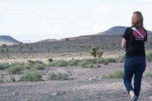 goldfield-12