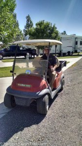 desert rose job