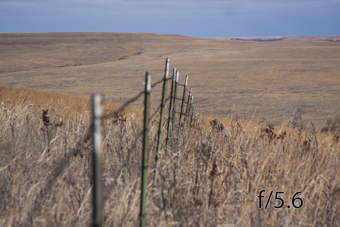 Using a very low f/stop gives the image a much more stylized appearance but it breaks away from reality a bit.