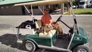 levi and brewy on the cart