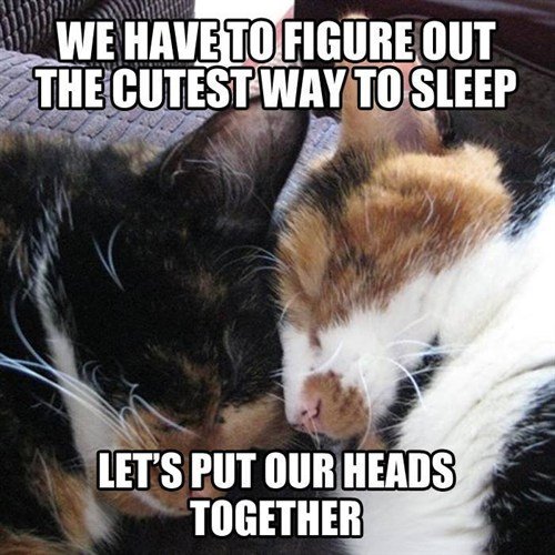 two heads
