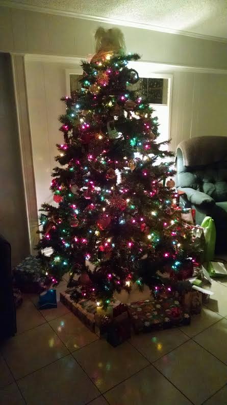 Christmas tree at the Flores house.
