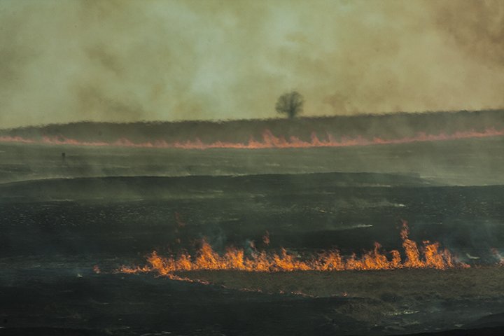 fire