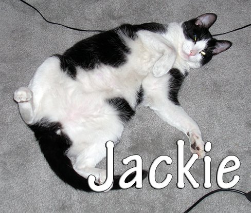 jackie
