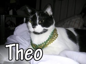 theo