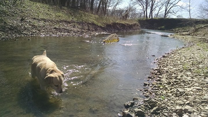Brewy cooling off.
