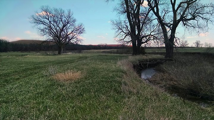 Tallgrass Prairie is pretty!